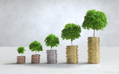 Growing trees on coin stacks illustrating investment growth and wealth.